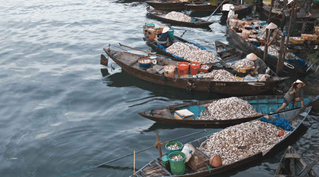 Fishermen Hoi An
