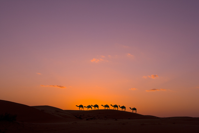 Oman dunes