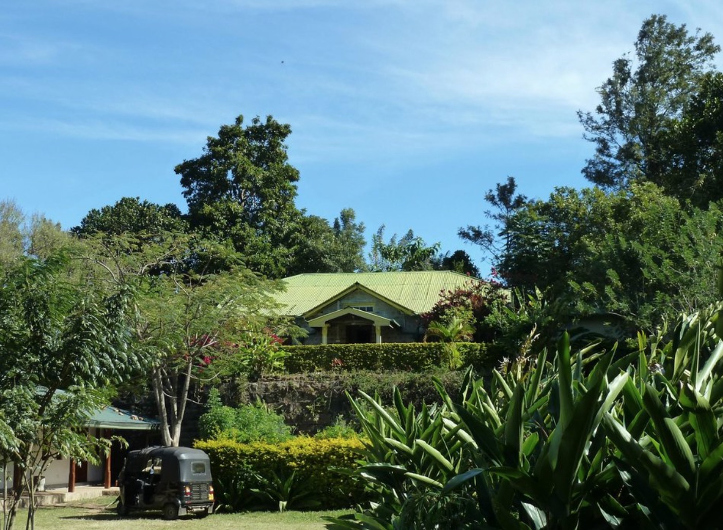 AMBA estate, ella (13)