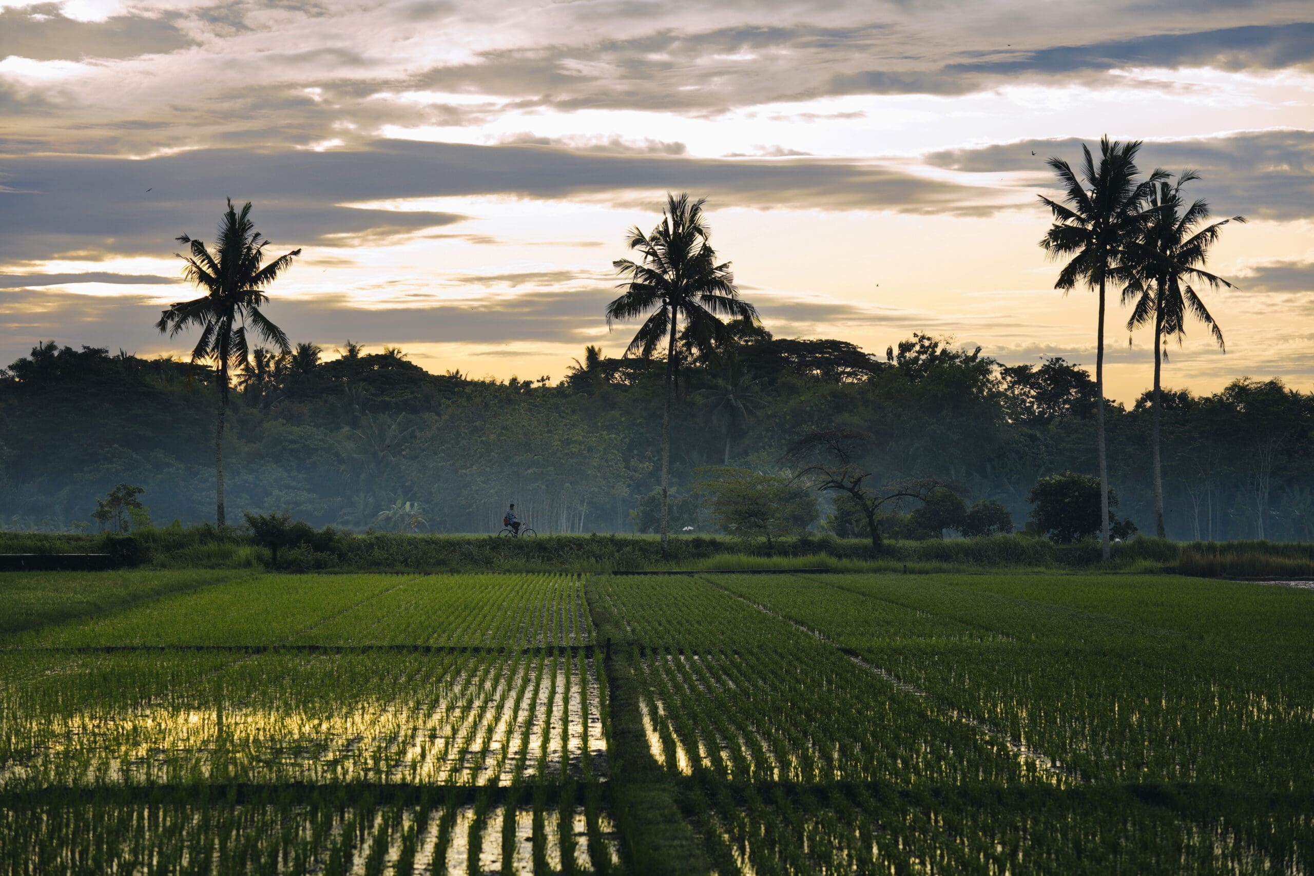 Central Java - Experience Travel Group