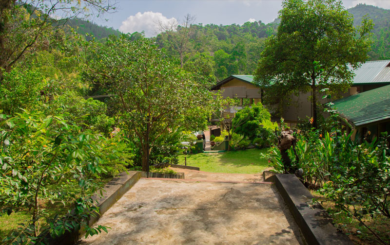 Blue Magpie Lodge