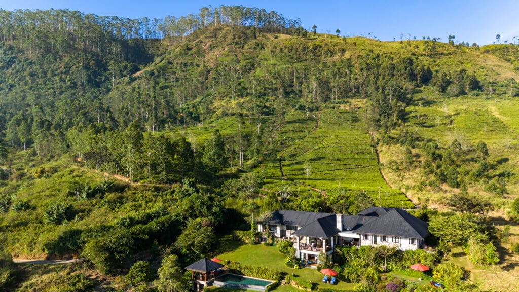 Camellia Hills view