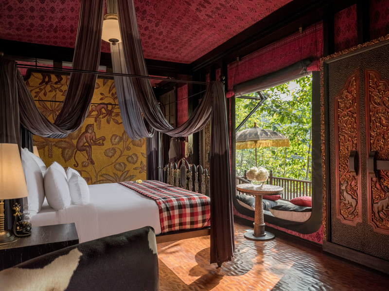 Capella room view