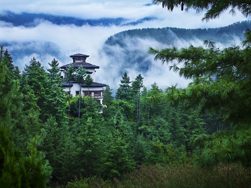 exterior in forest at Como Uma Paro, Paro Bhutan, Paro Valley