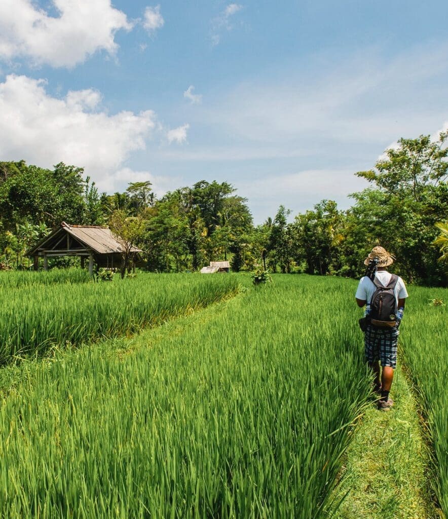 Countryside walk with Balinese Brahmin