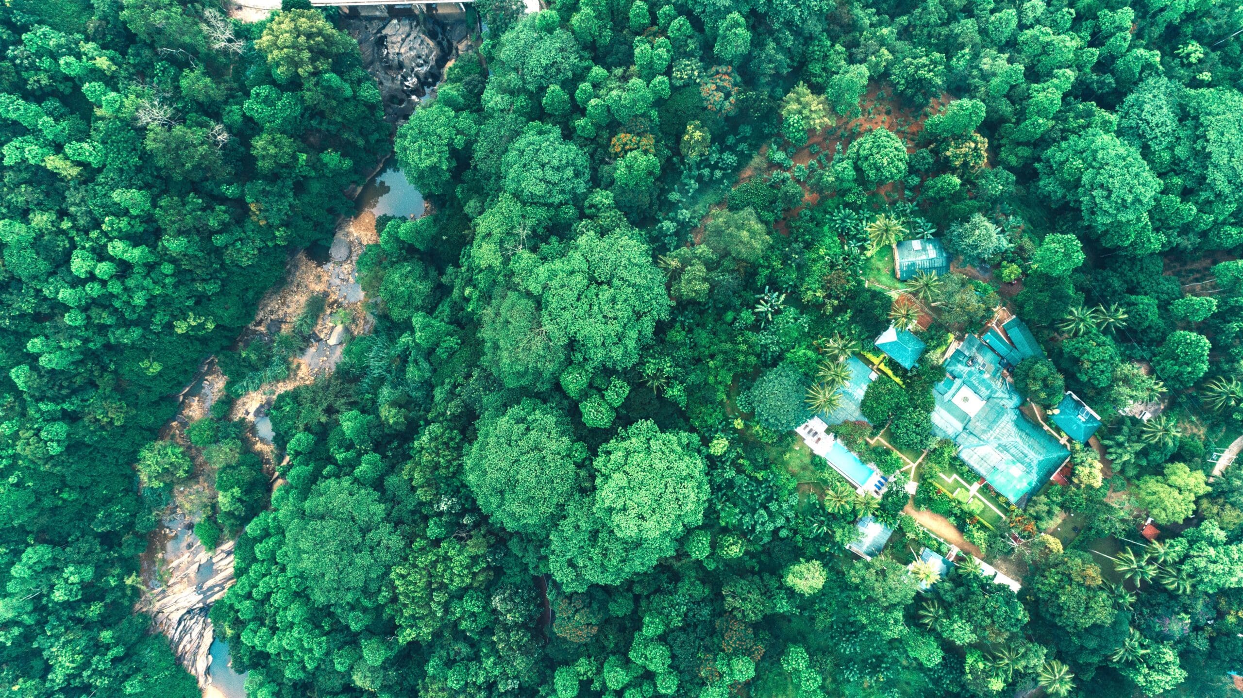 ellerton from above