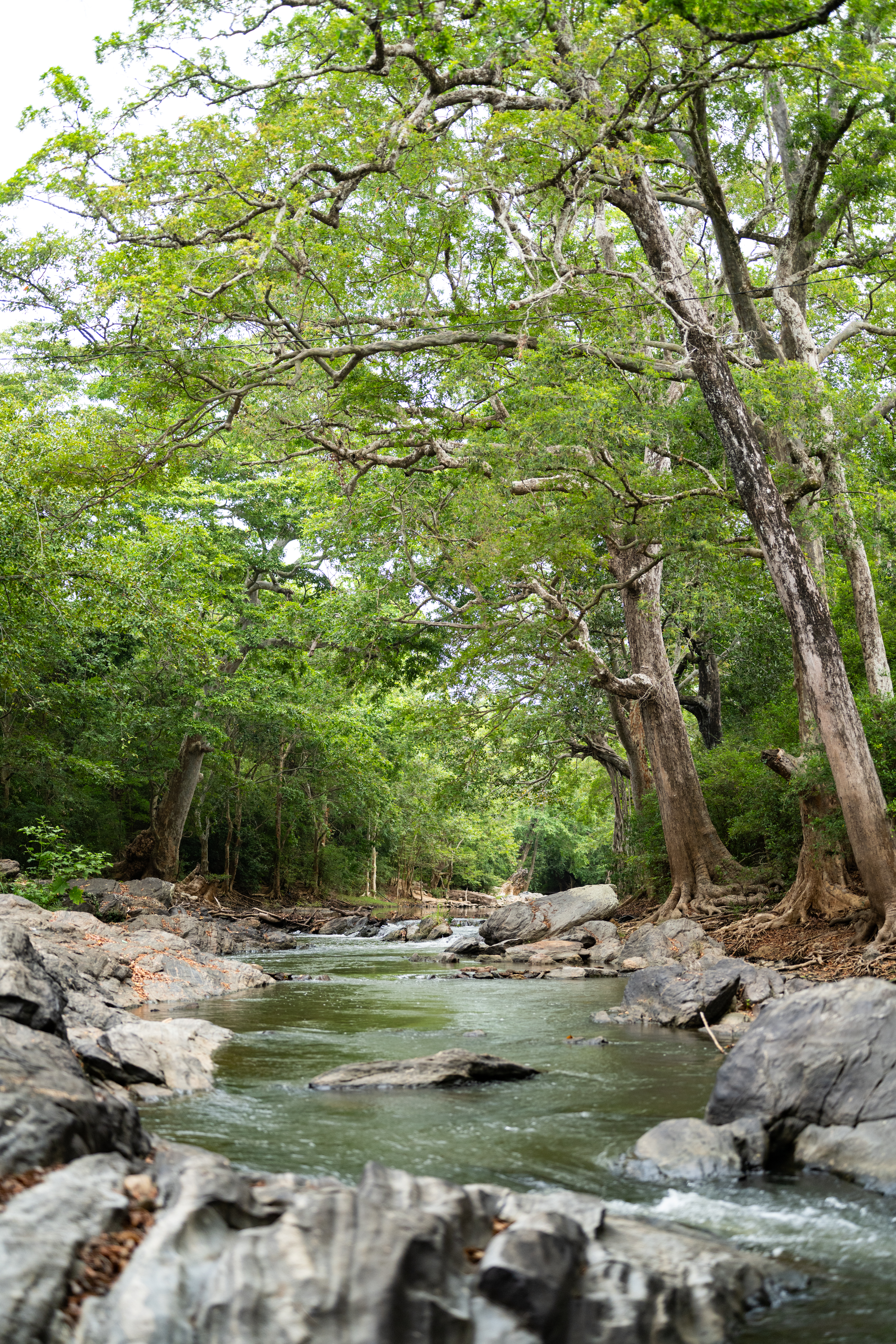 Warden's House River