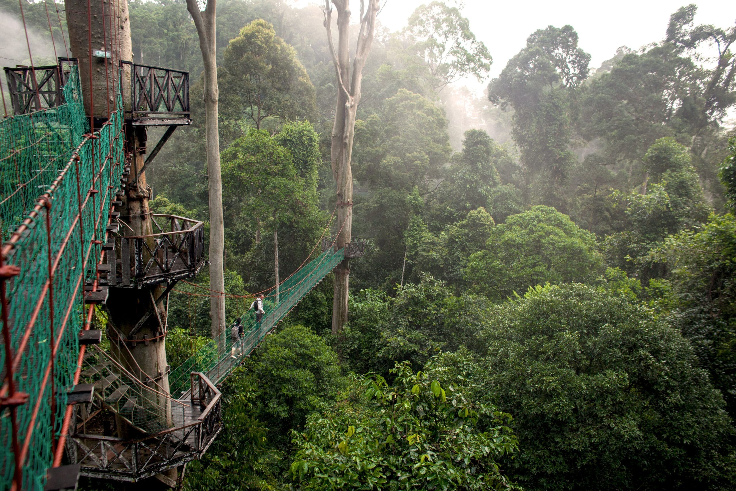 Danum Valley