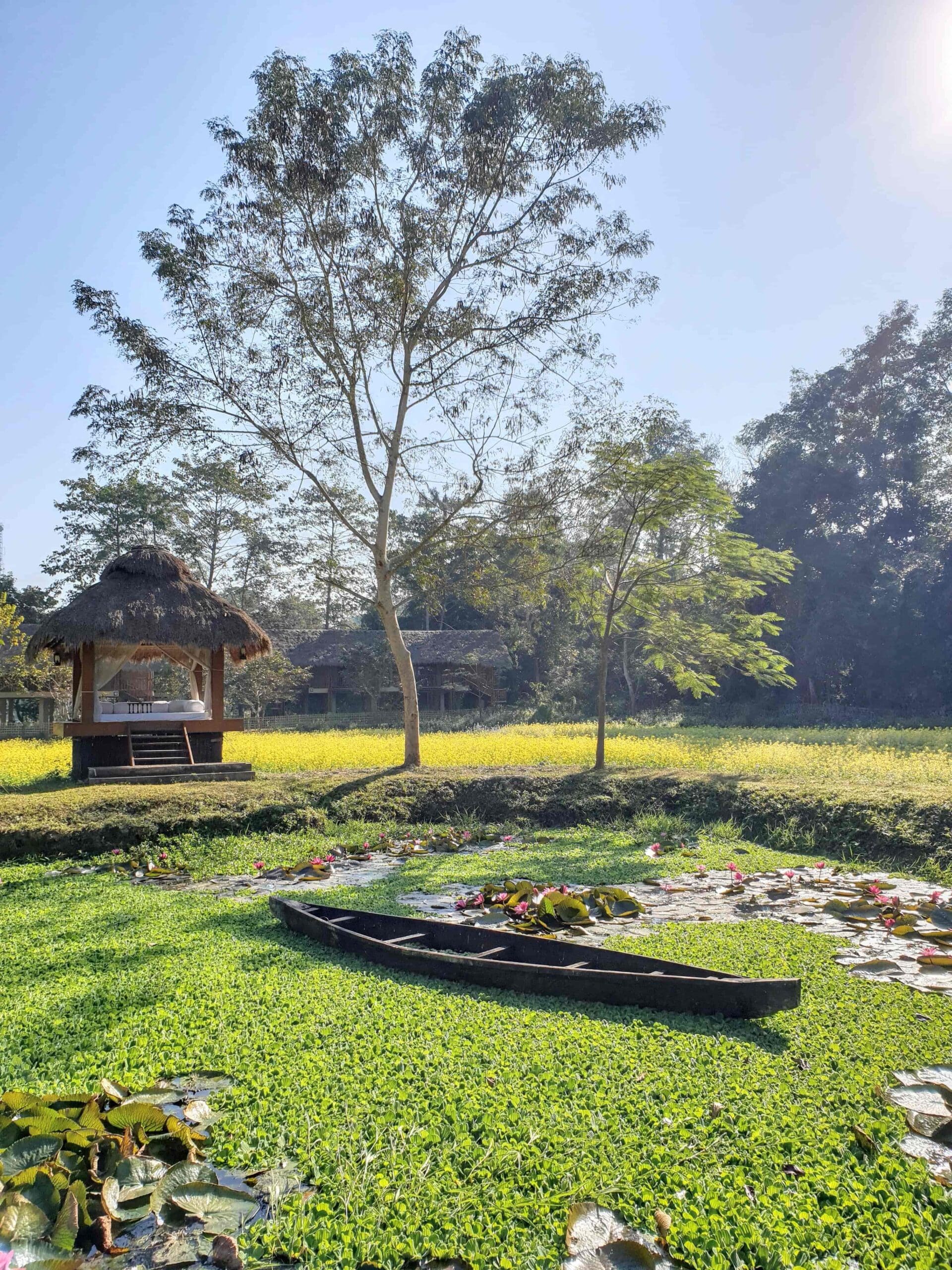 Outdoor area at diphlu river lodge