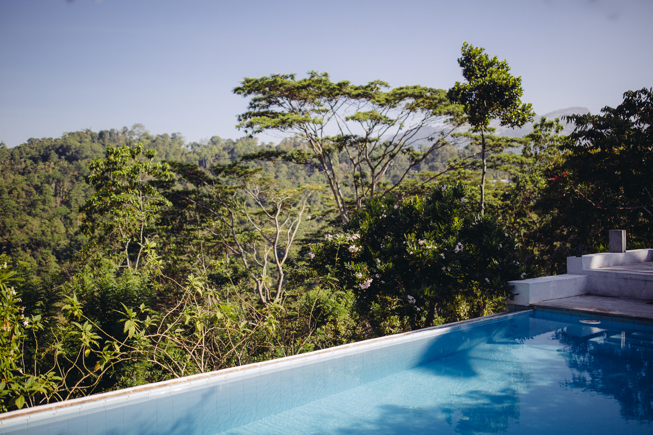 Poolside views at Ellerton