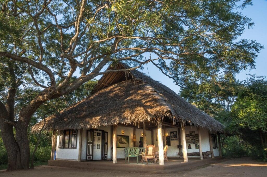 Flameback eco lodge