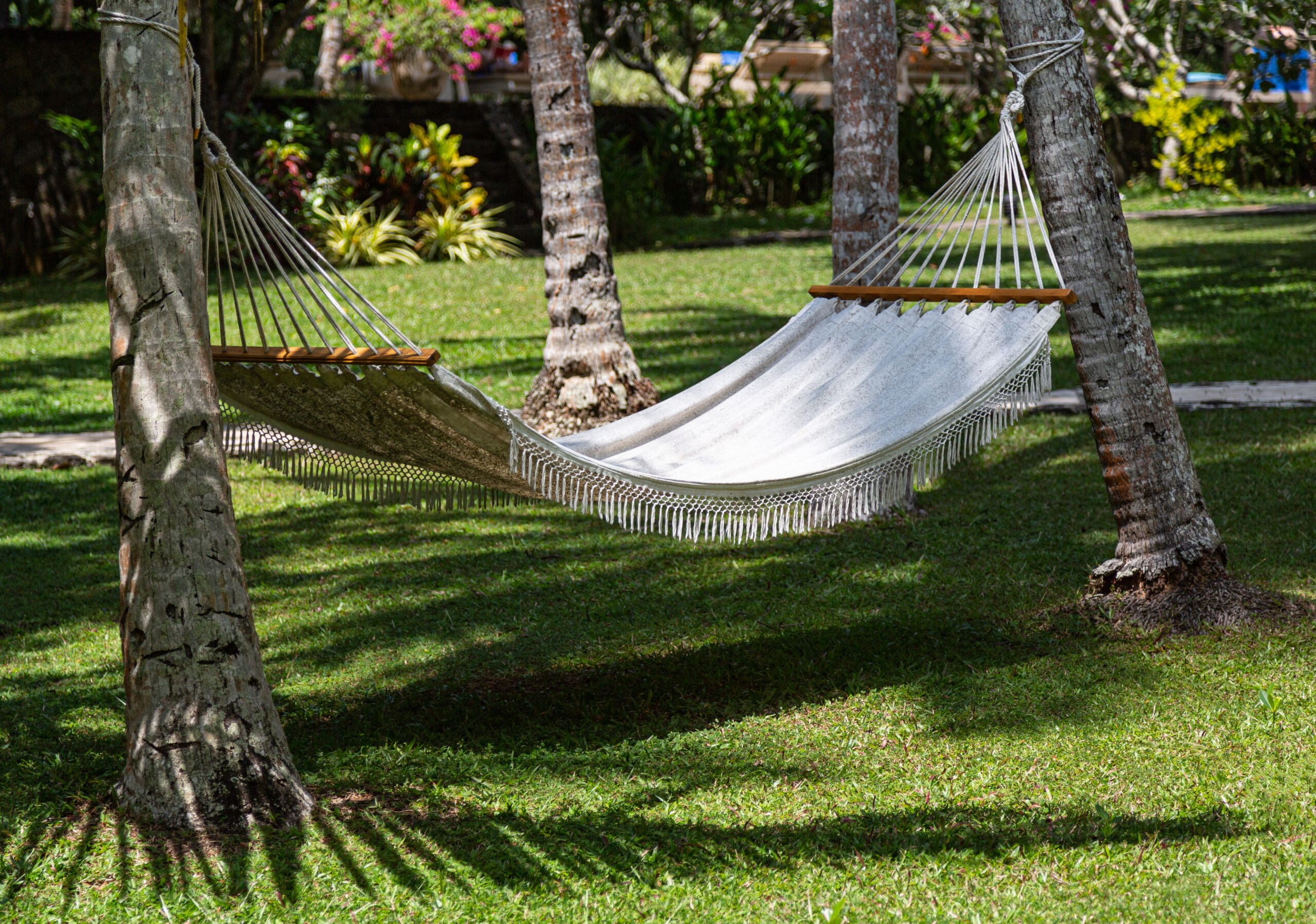 Why House garden Hammock