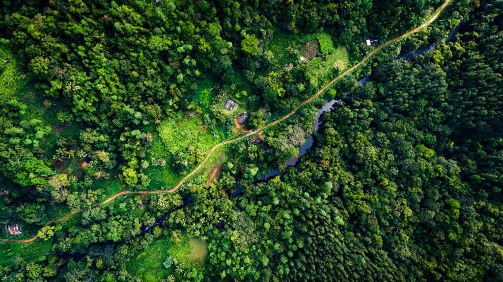 Sri Lanka Tea Plantations