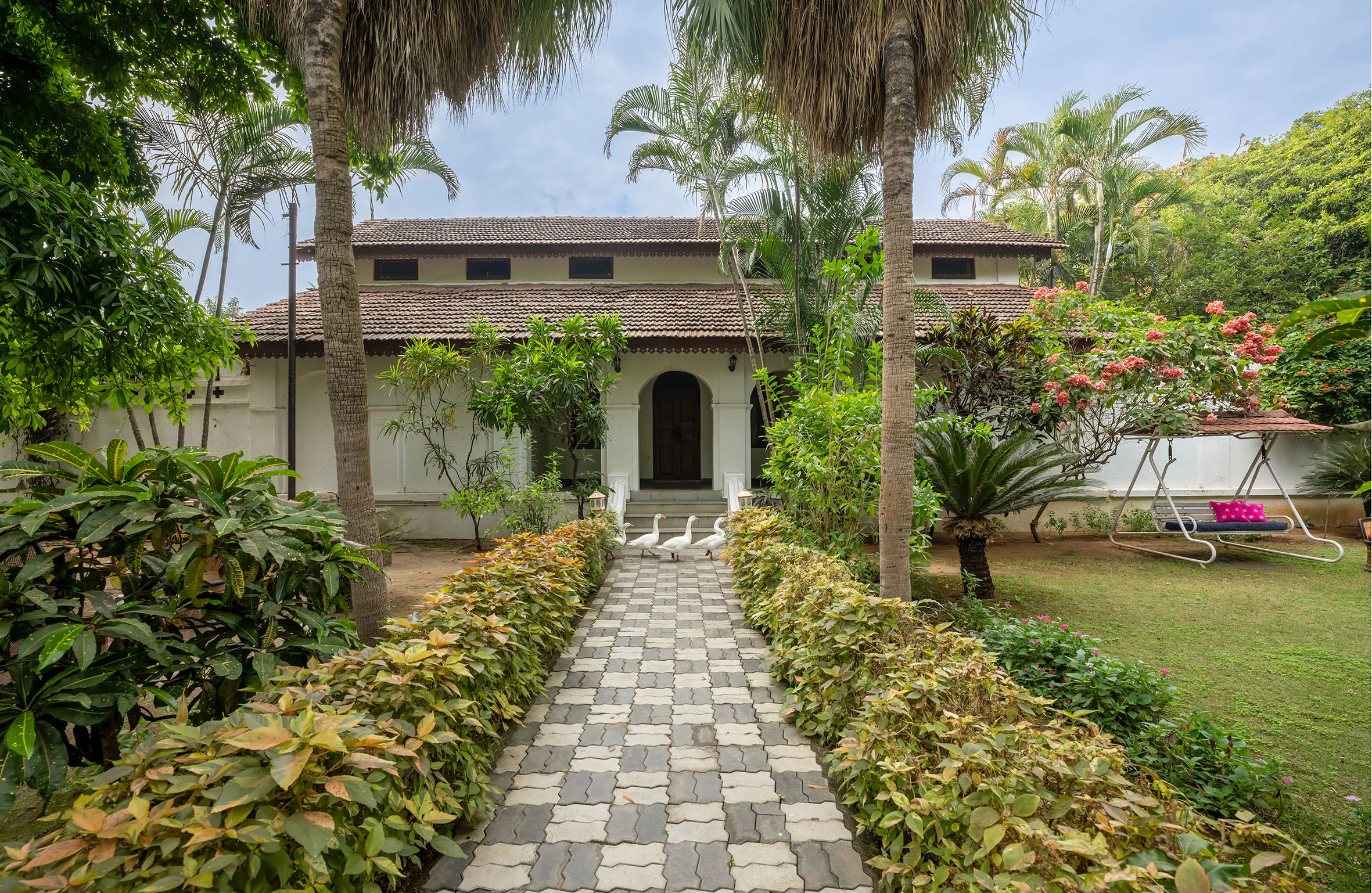pathway at jambhugoda palace hotel