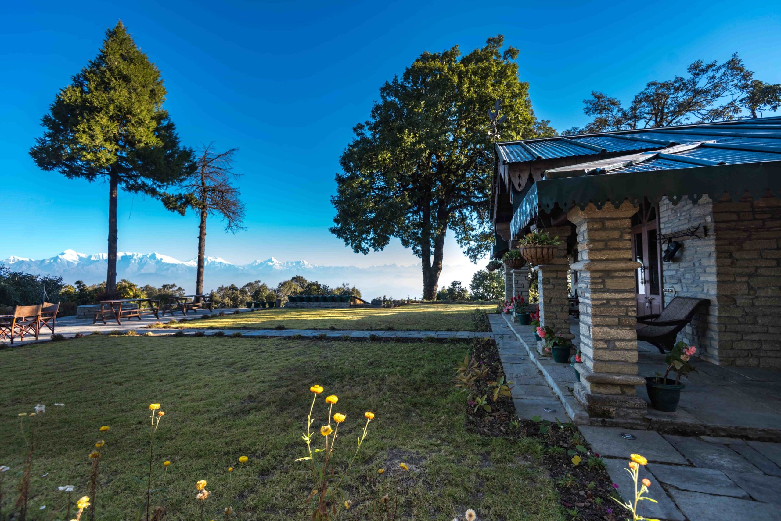 views from the nine furlongs cottage