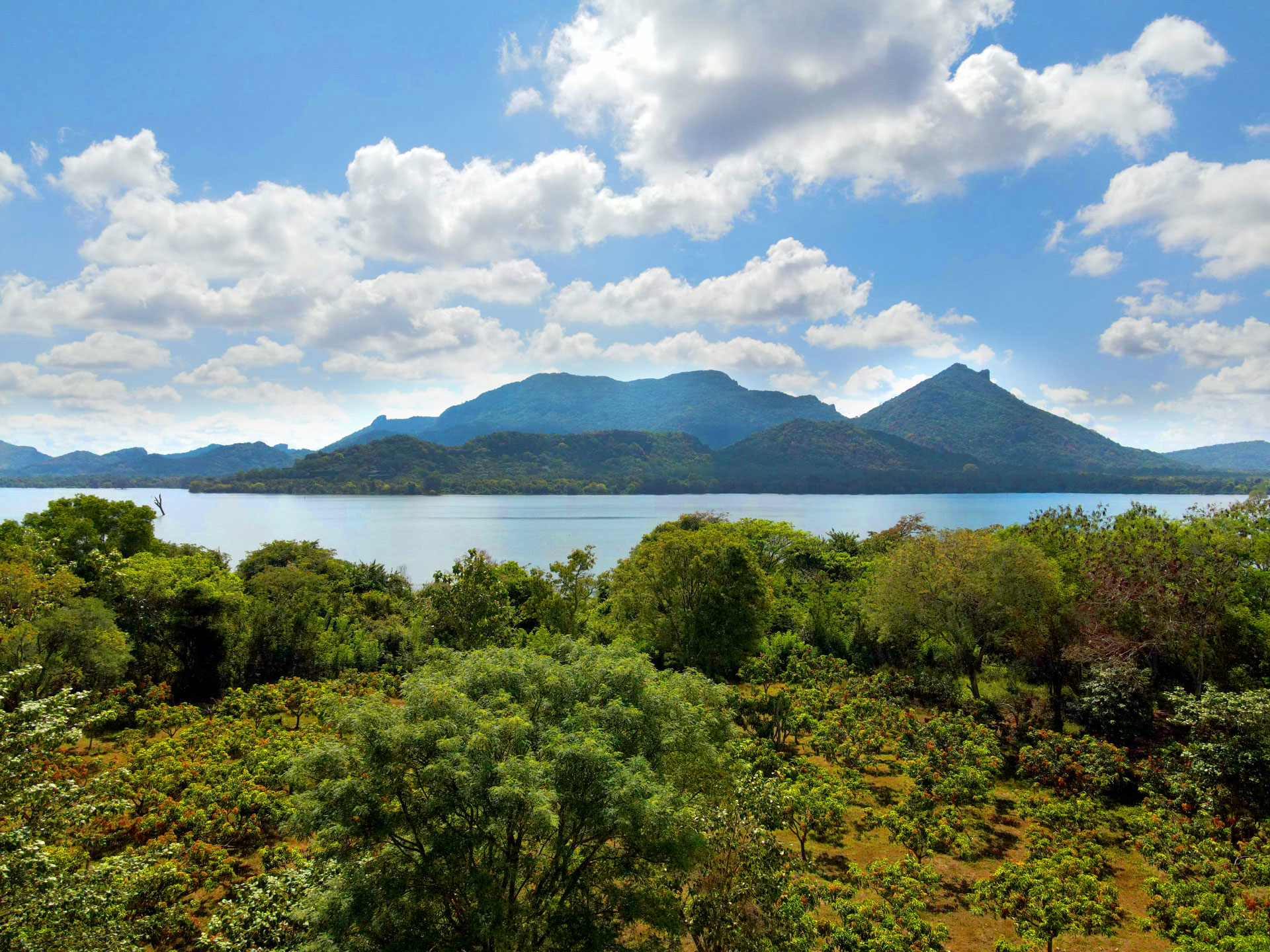Kandalama-Lake