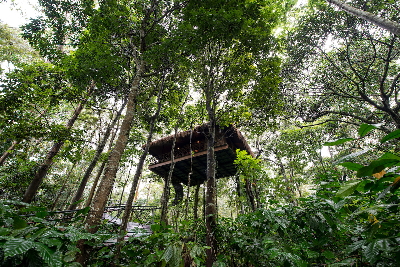 tree house at pepper trail