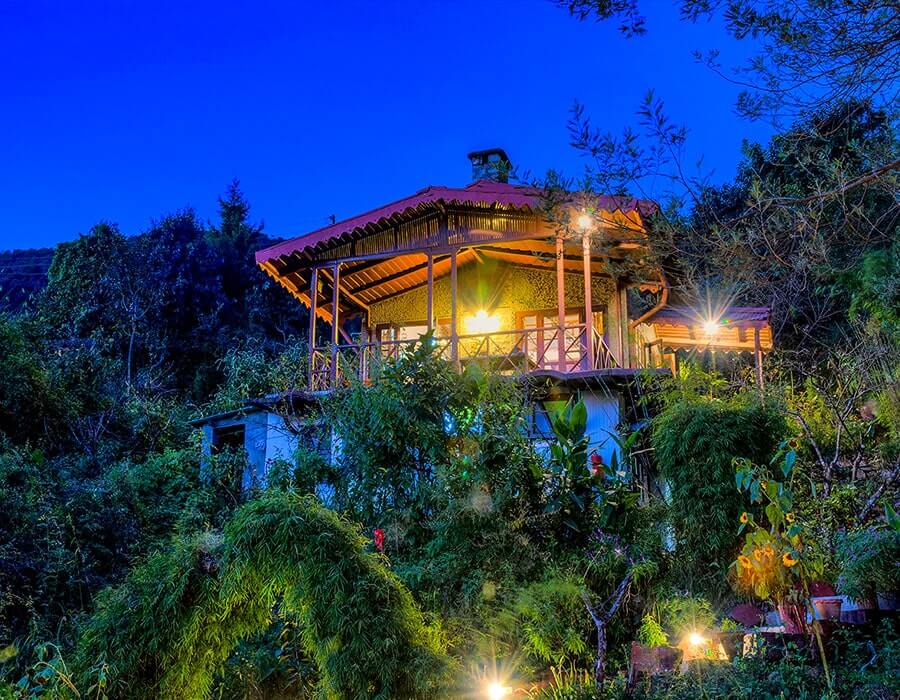 nighttime at jungle lore birding lodge