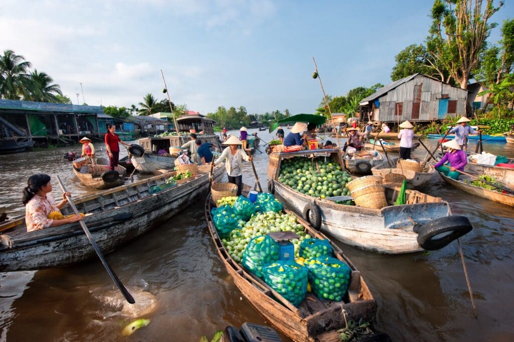 Green mangoes and fruits sold at Phong Dien market, near Can Tho