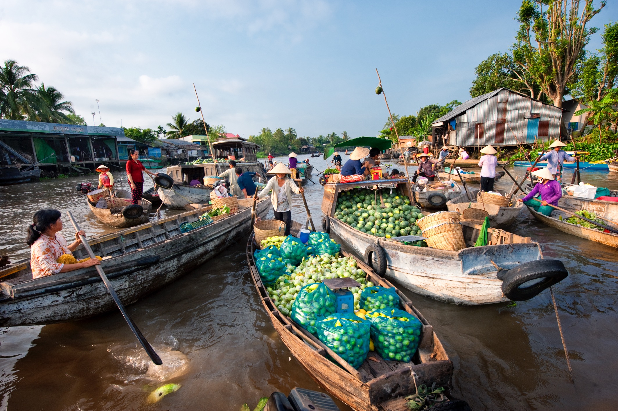 Green mangoes and fruits sold at Phong Dien market, near Can Tho
