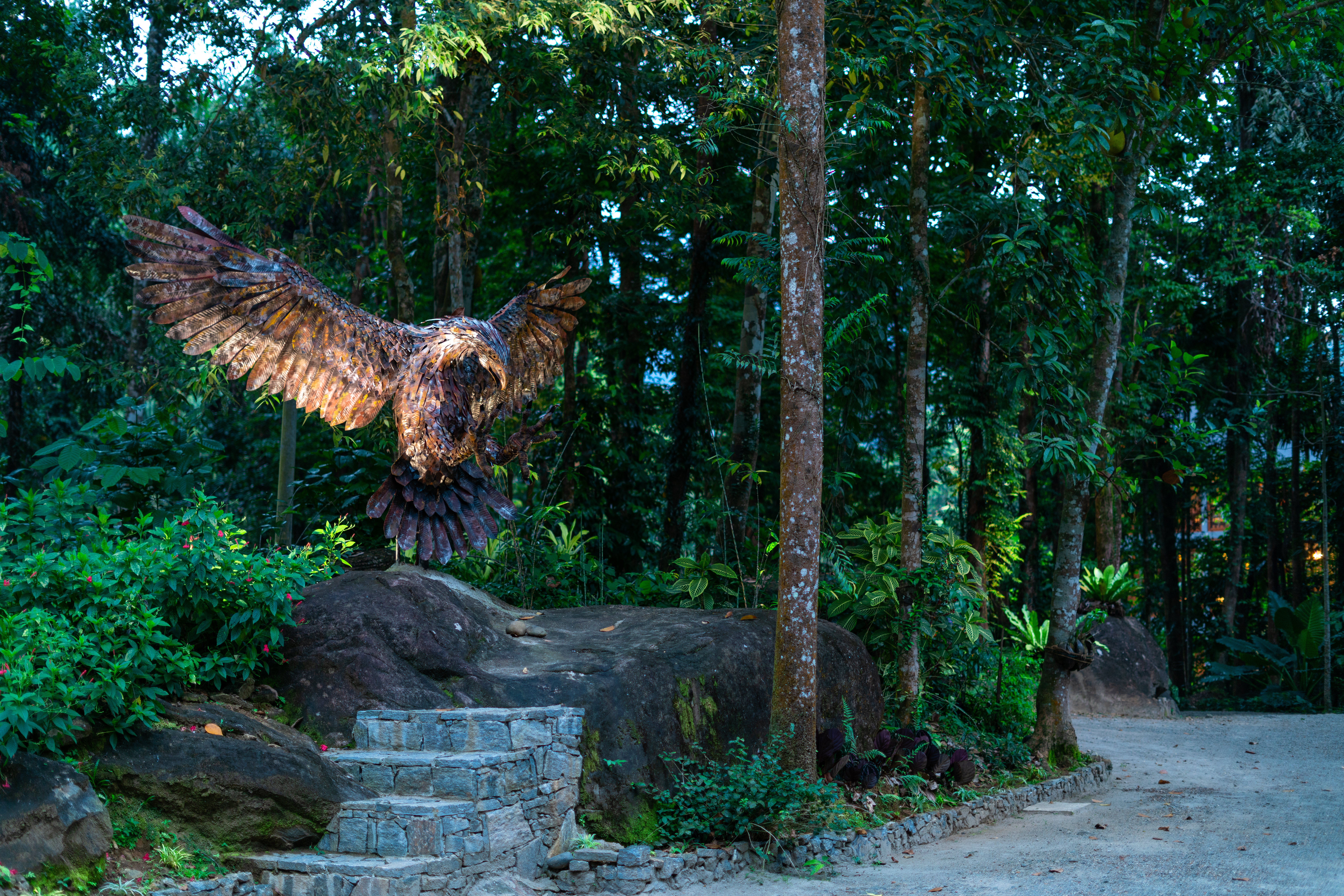 Owl flying at Moksha