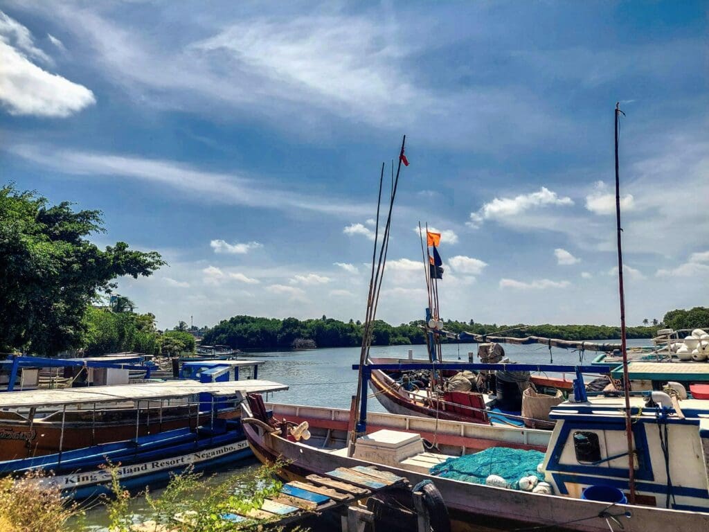 boats on Negombo lagoon