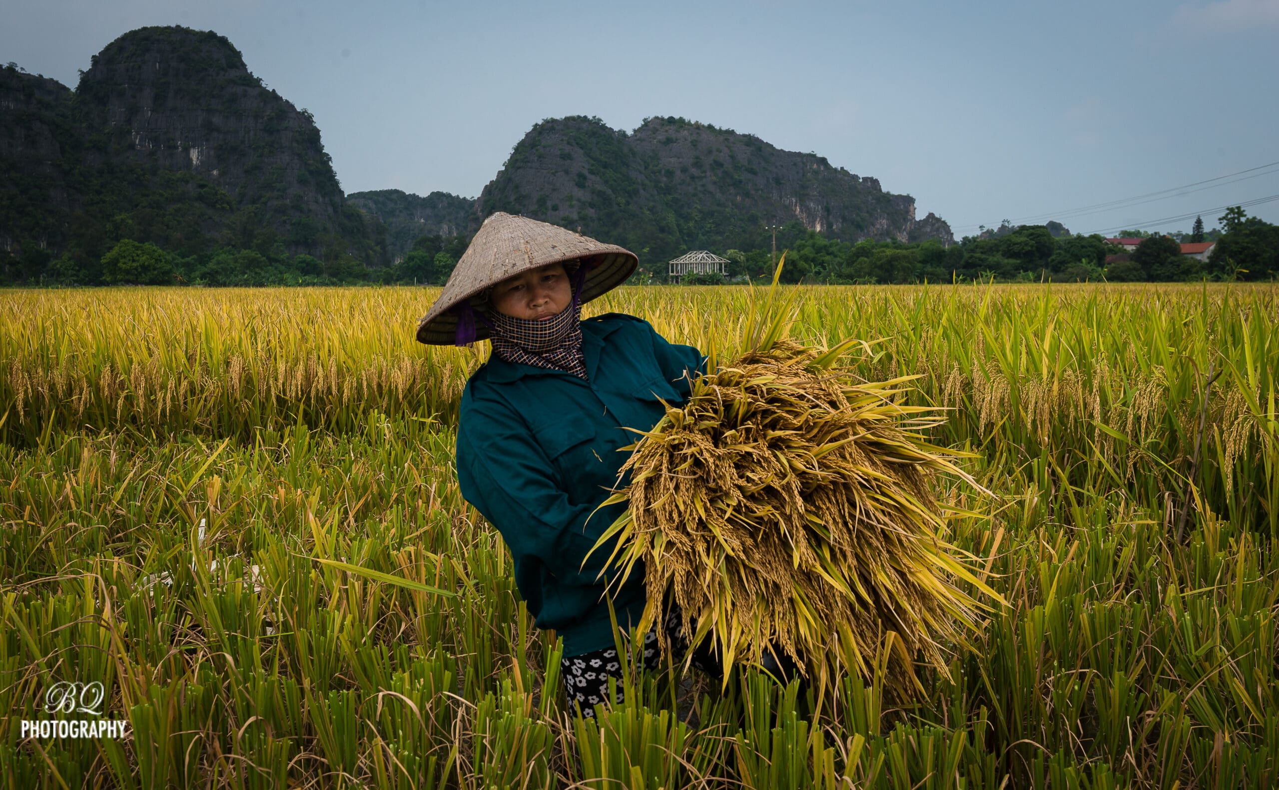 Ninh Binh-1029