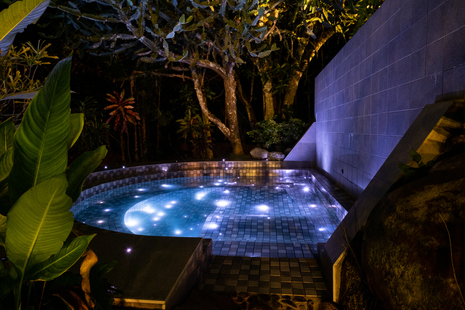 Pool Jungle Jacuzzi