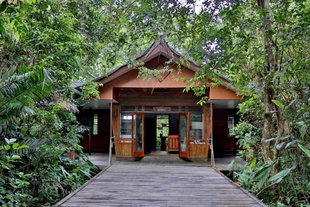 Lobby at Rimba lodge