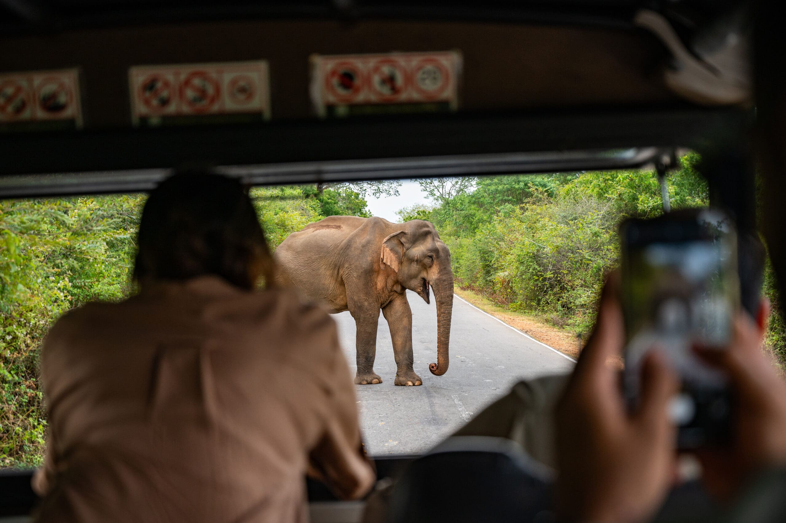 Elephant Sri Lanka