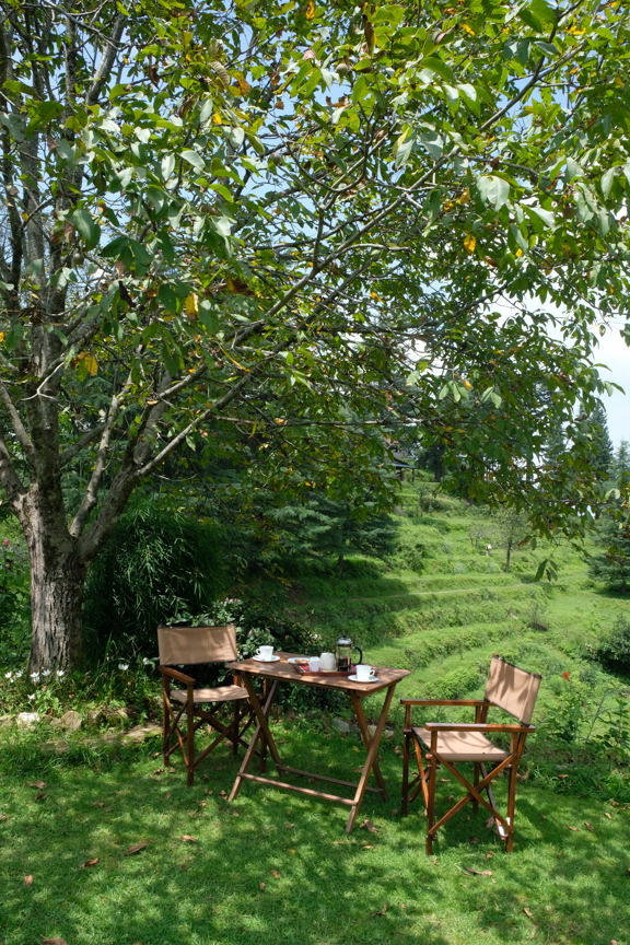 outside dining at nine furlongs