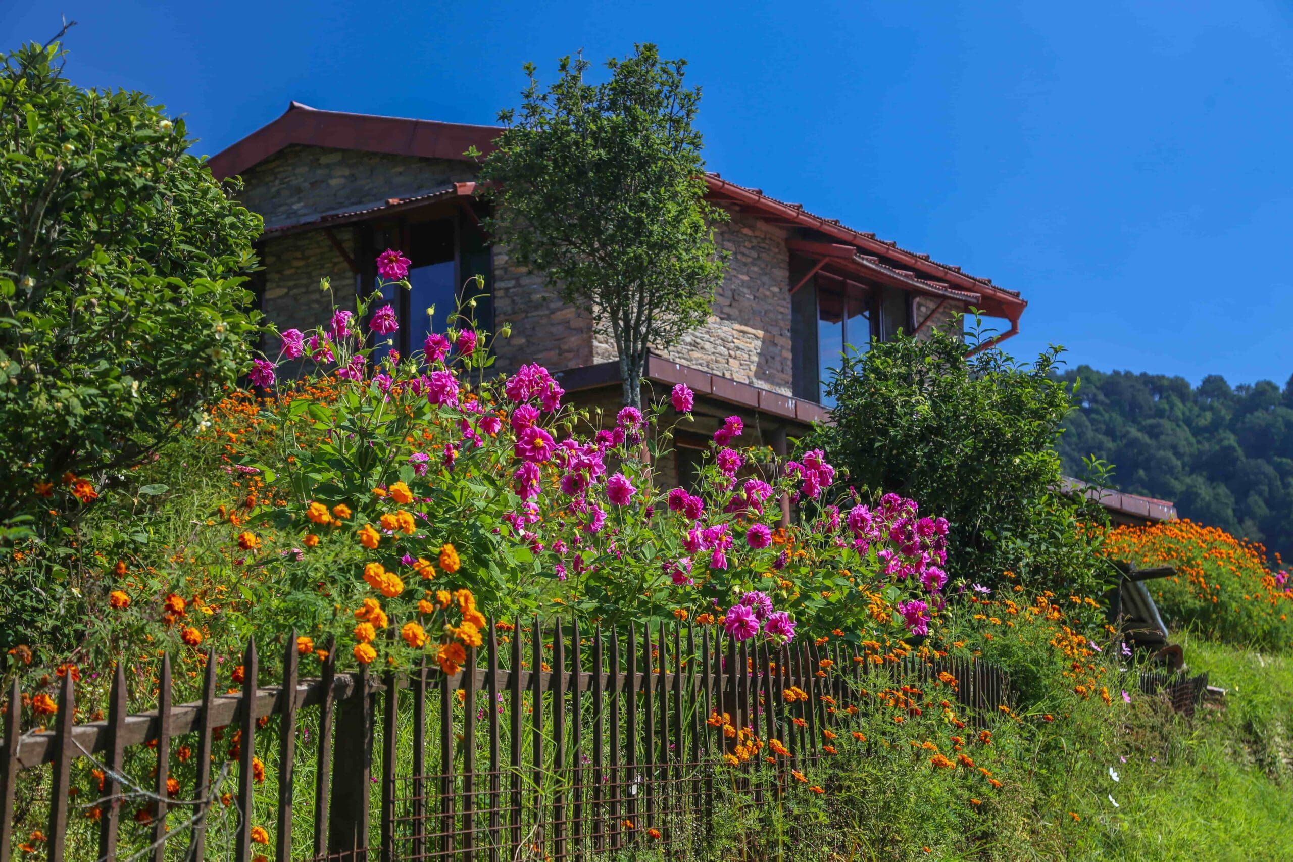 bungalow at nine furlongs