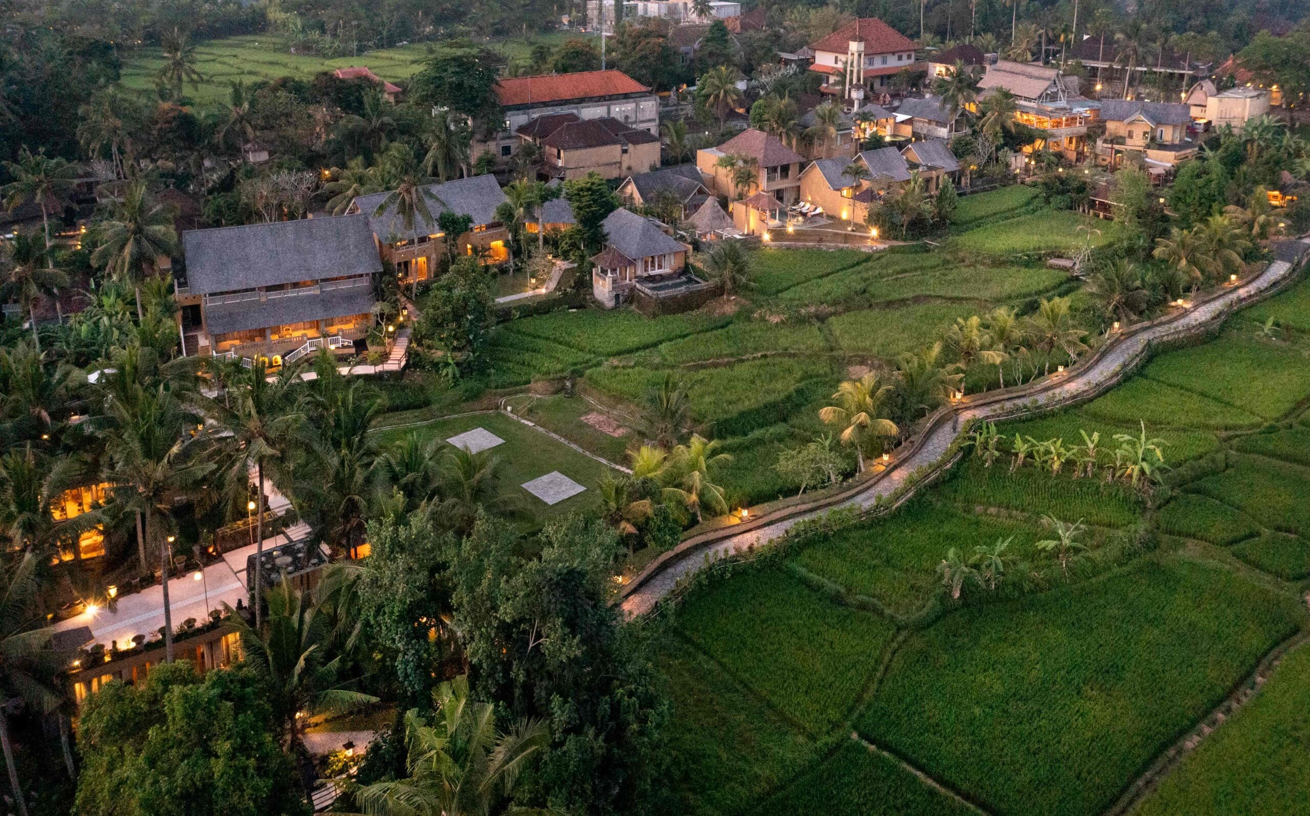 Wapa Di Ume Ubud from above