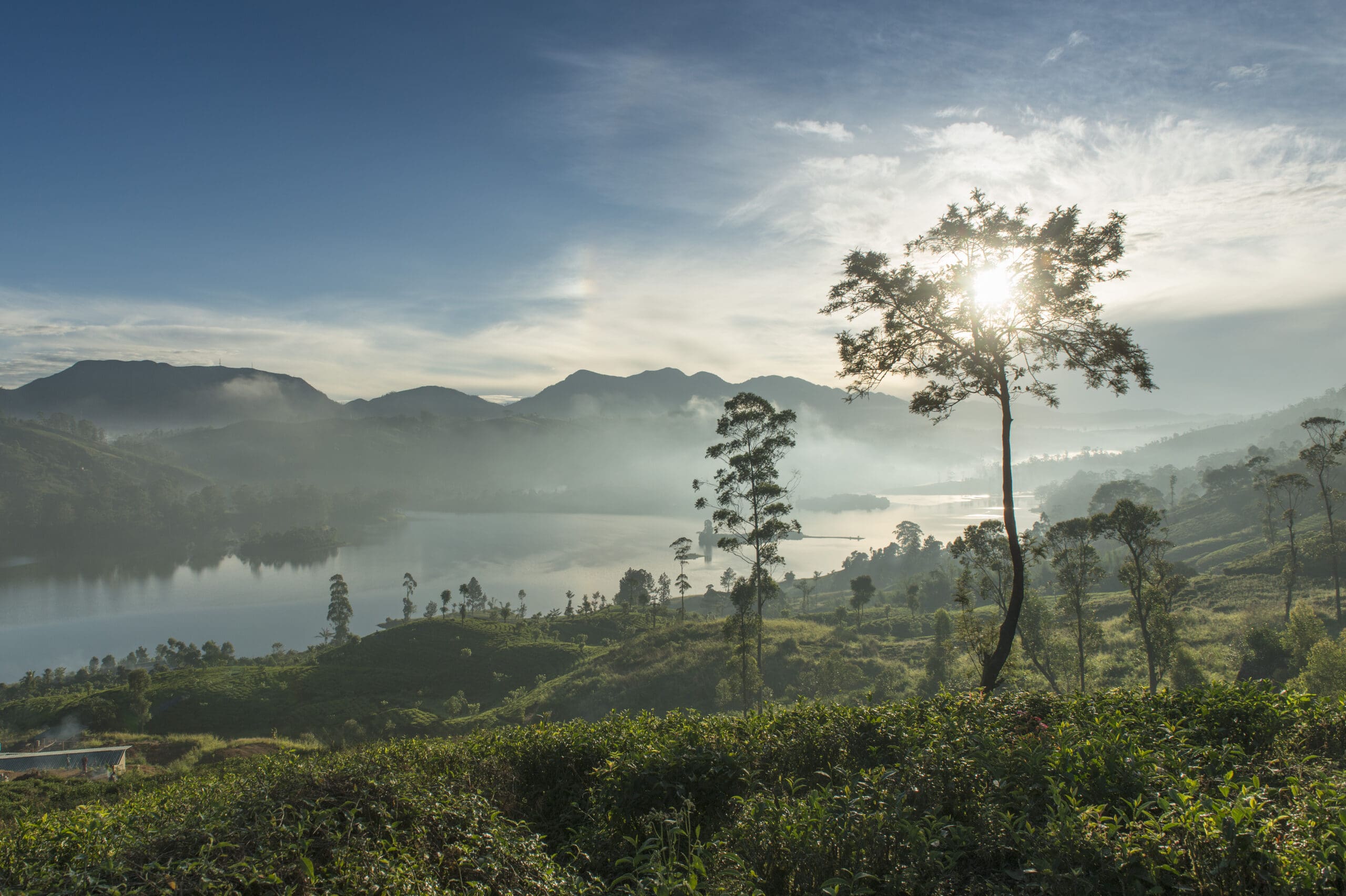 Tea Trails Sri Lanka 2014