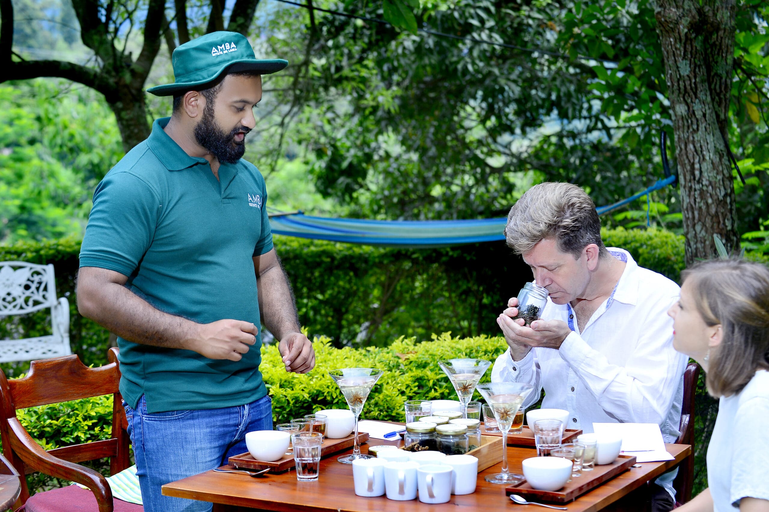 Teaology intro