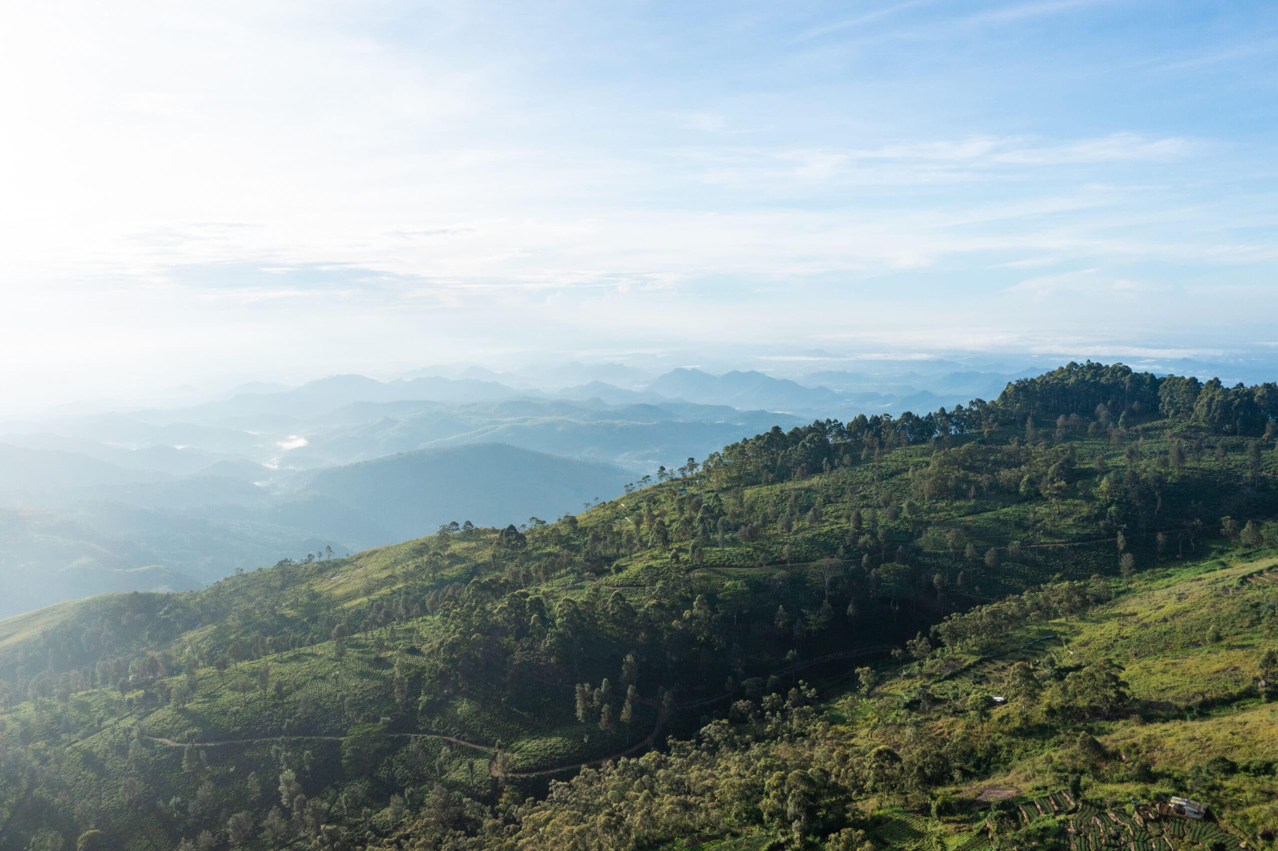 Thotalagala views