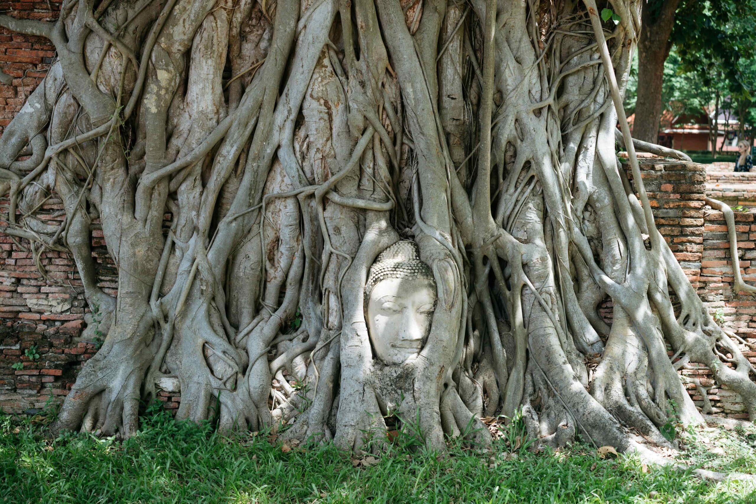 face in rock ayutthaya