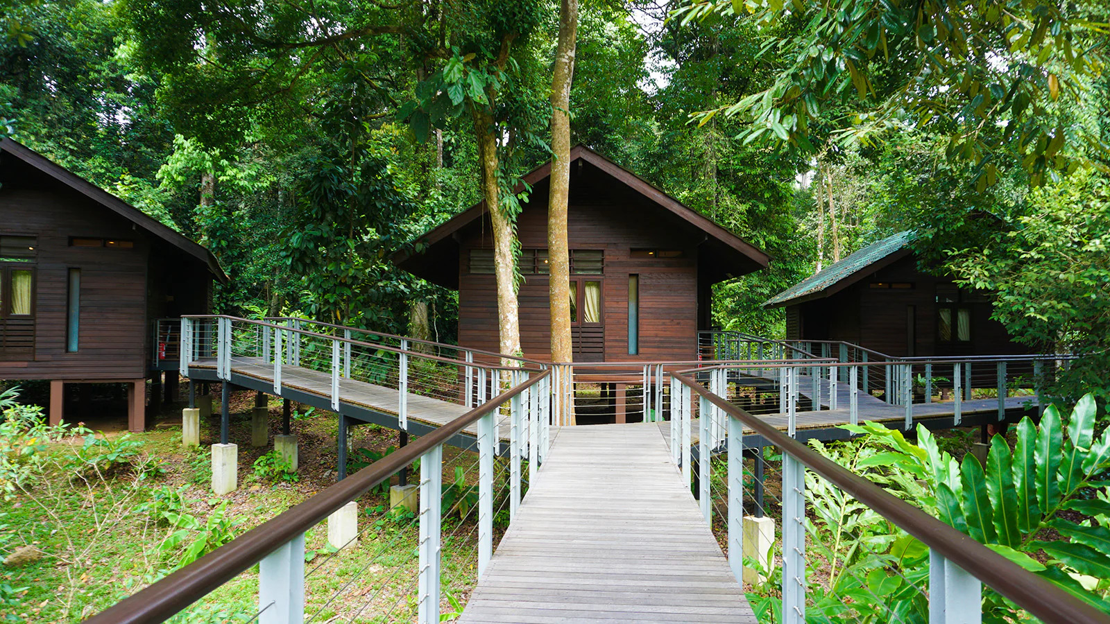 Borneo Rainforest Lodge View