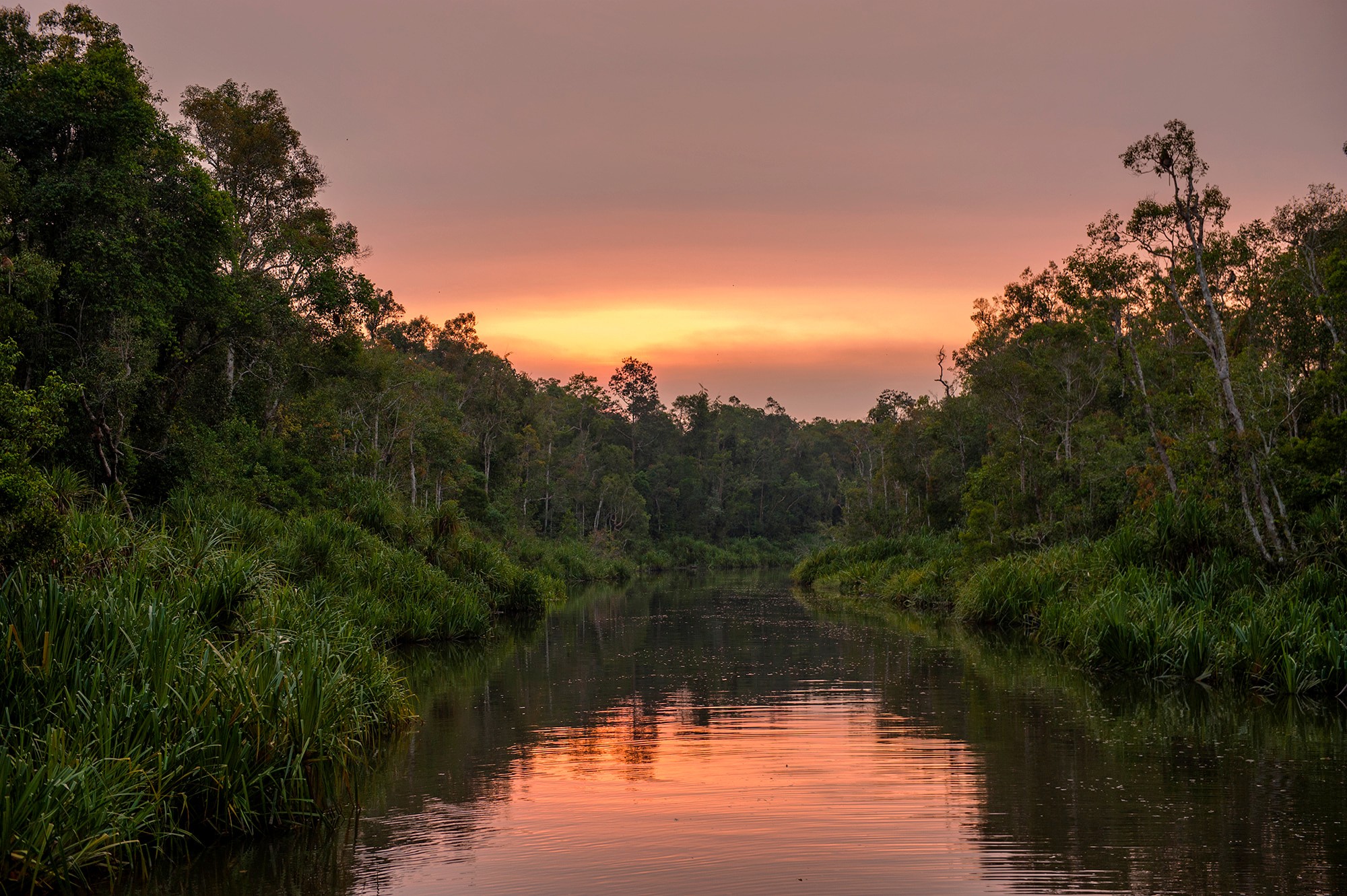 Sunset on the river by Rimba Lodge