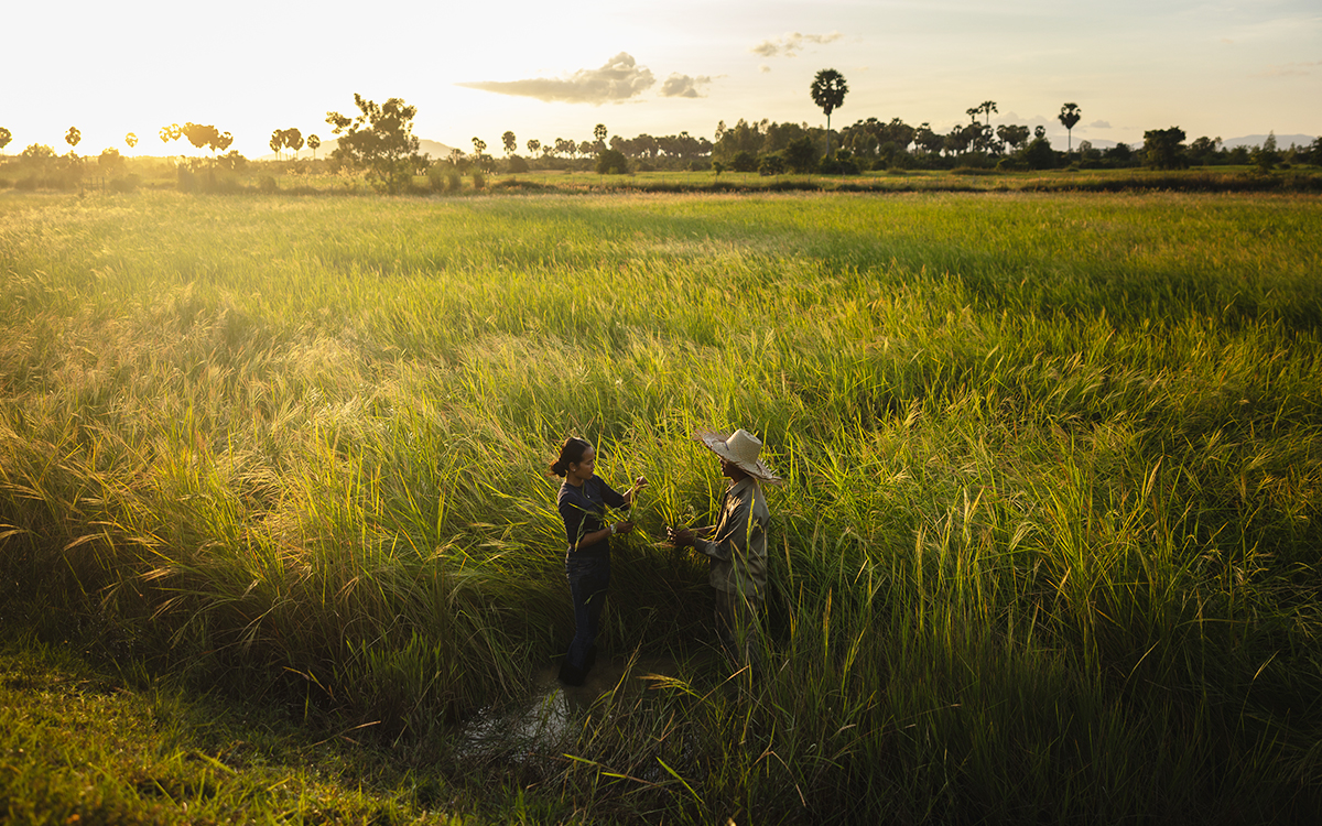 farmhouse cambodia