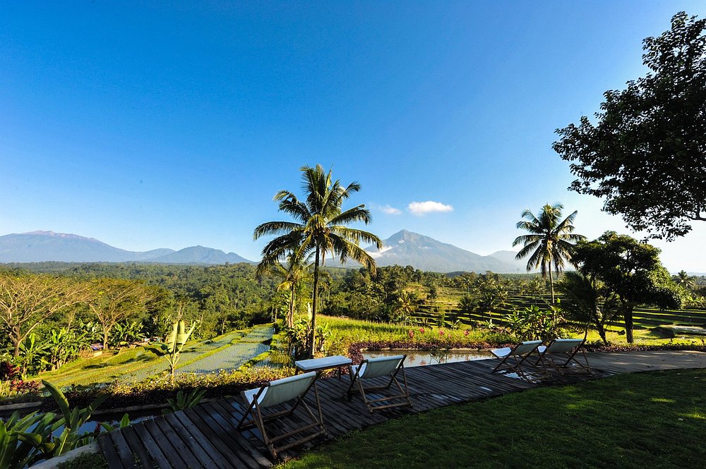 Views from Ijen resort