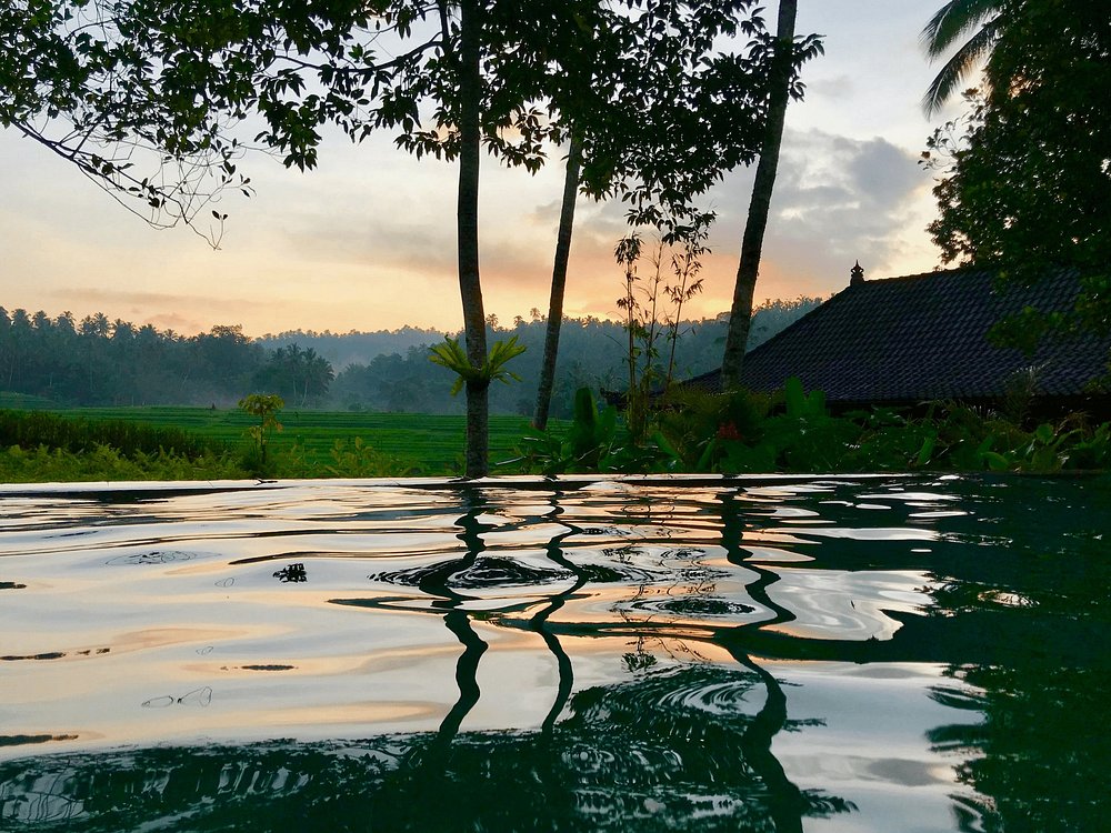 Pool at clove tree villas
