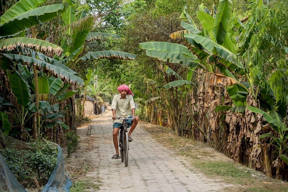 cycling activity at sunderban tiger camp