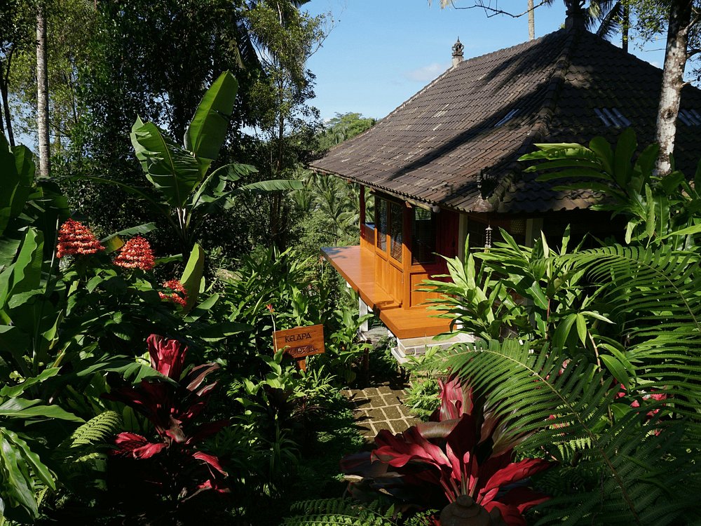 villa kelapa at Clove Tree Villas