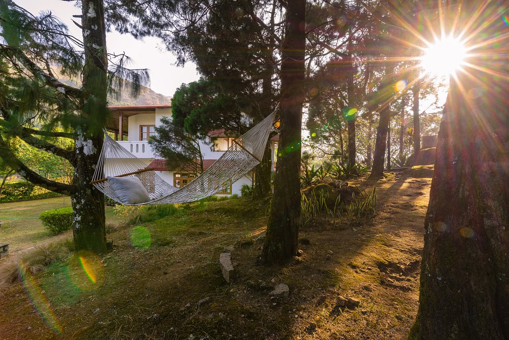 windermere estate hammocks