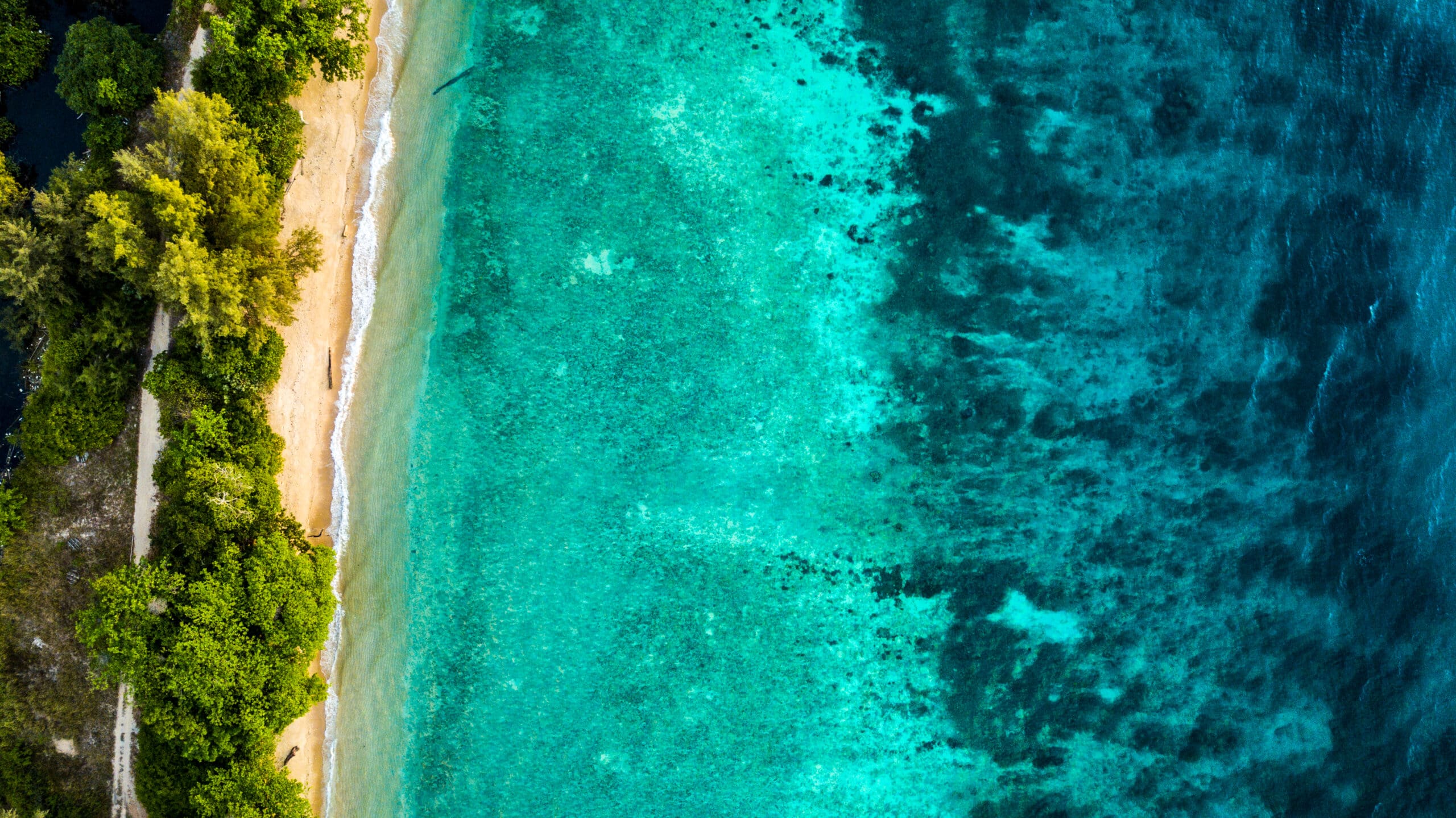 Gorgeous shades of blue water against pale sand and lush green forest on a borneo beach, shot from above