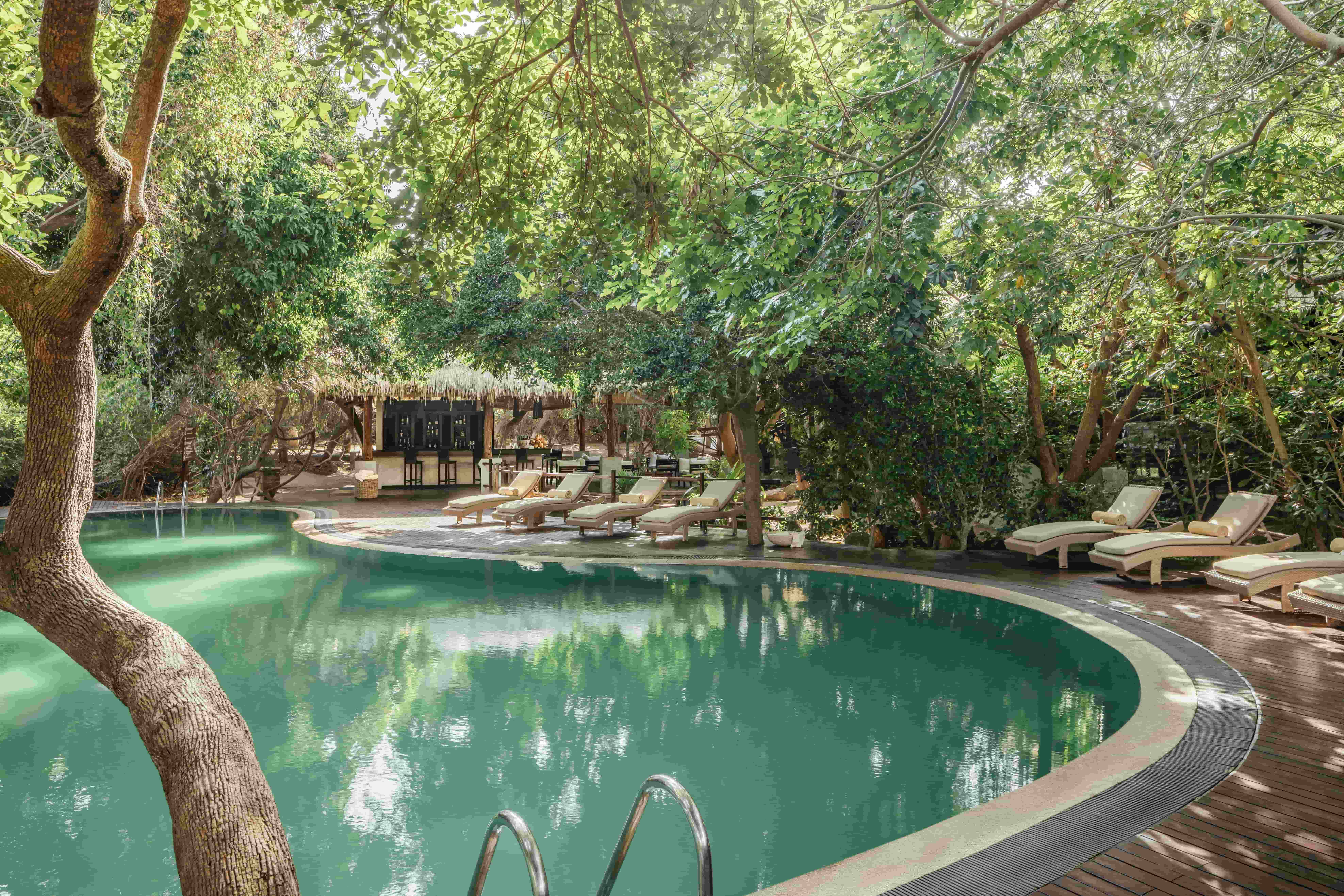 Swimming pool at Uga Jungle Beach surrounded by lush tropical forest