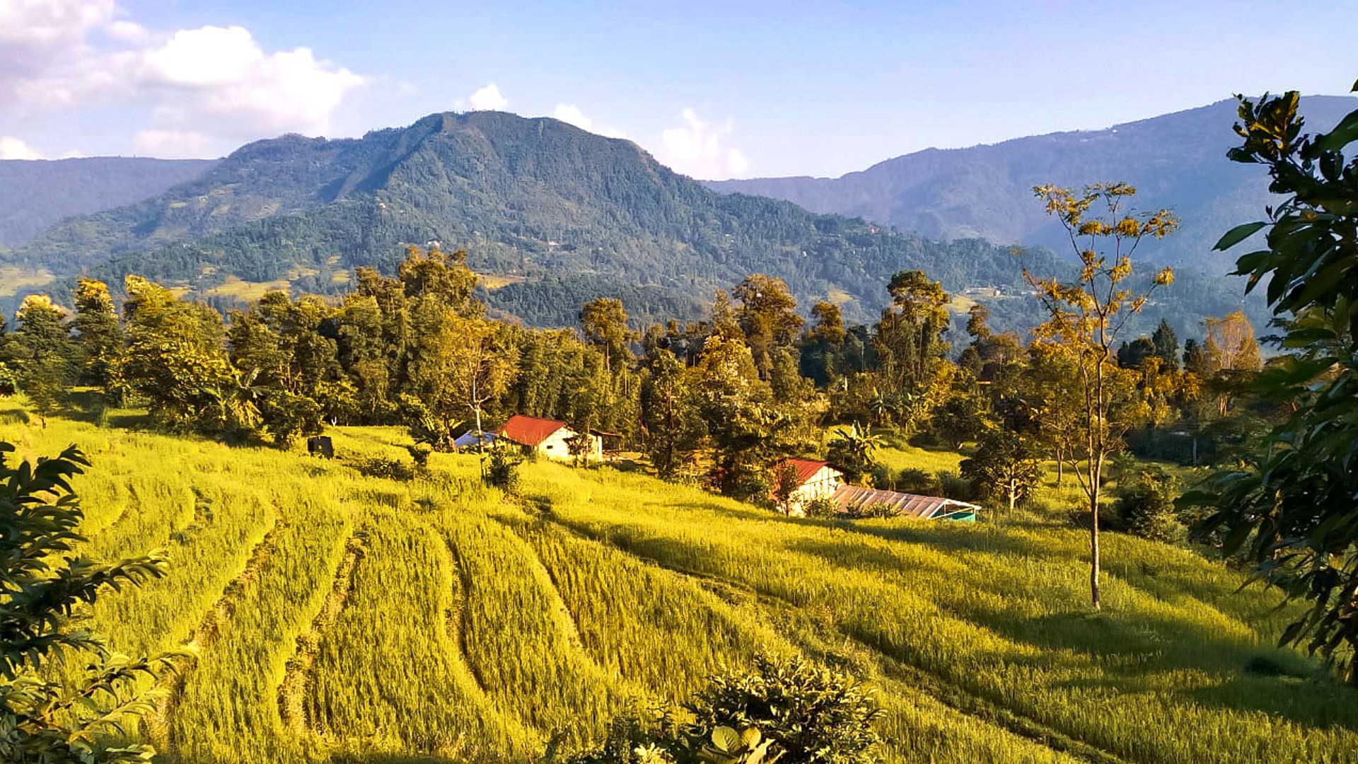 Palighar Farm Stay India