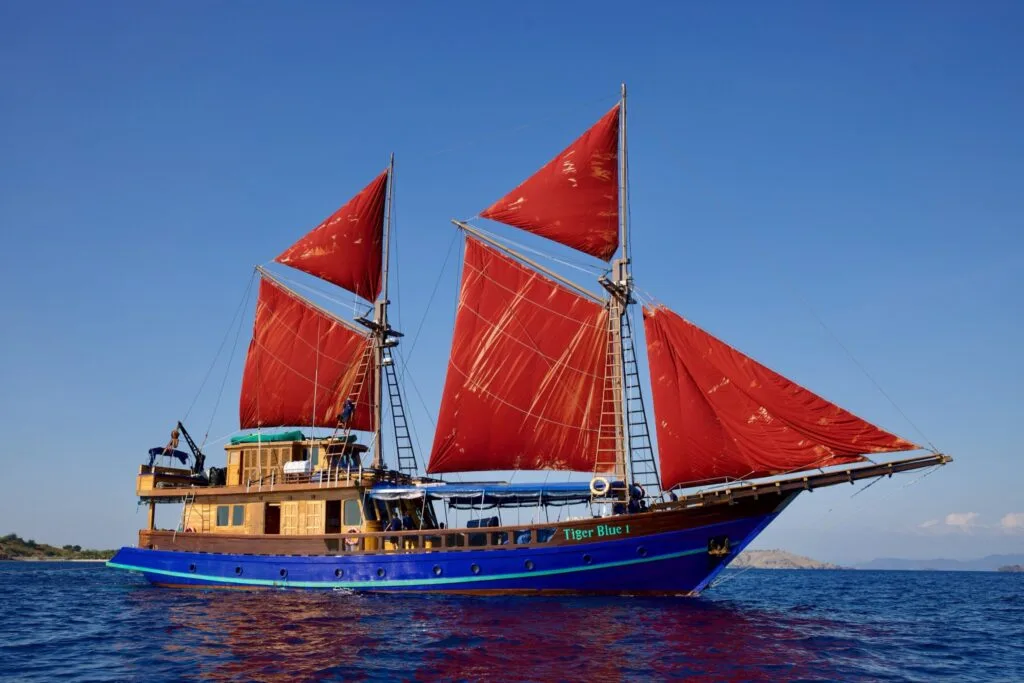 Tiger Blue, Labuan Bajo